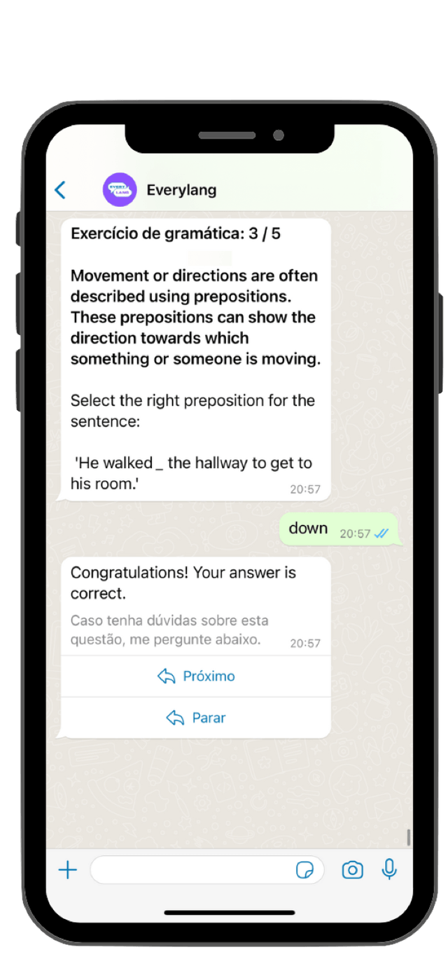 Everylang Exercícios de Gramática